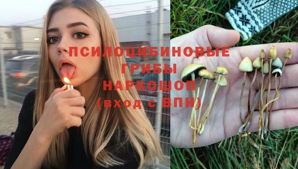 Альфа ПВП Абдулино