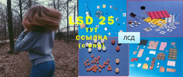 гашик Абаза