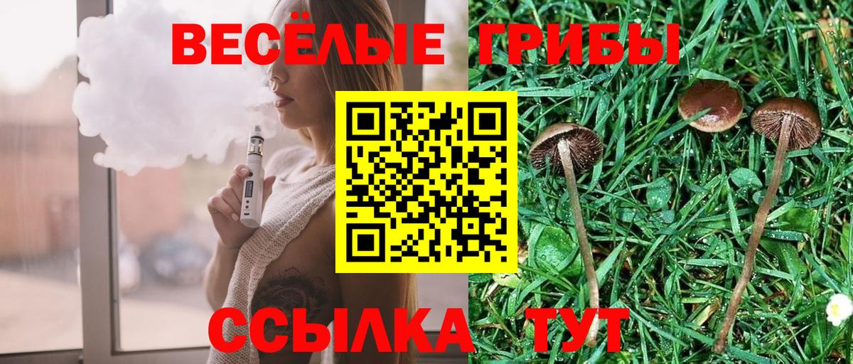 Псилоцибиновые грибы MAGIC MUSHROOMS Кострома