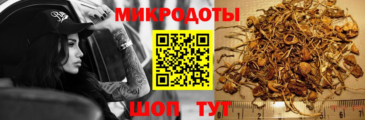Кострома  Галлюциногенные грибы ЛСД  Вход с VPN 